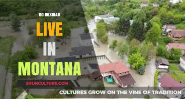 Bosnian Communities in Montana: Exploring Cultural Presence and Integration