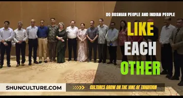 Bosnian and Indian Cultural Relations: Mutual Admiration or Indifference?