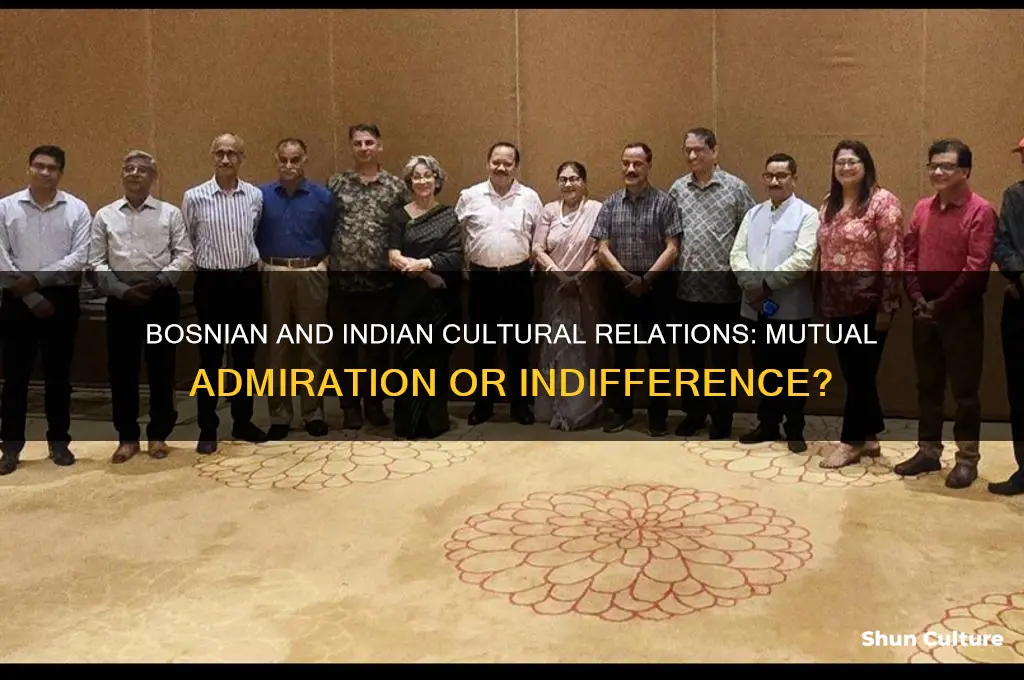 do bosnian people and indian people like each other