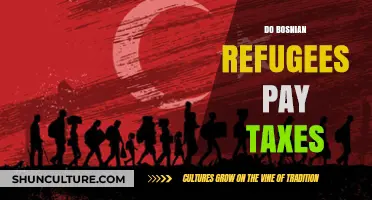 Tax Obligations of Bosnian Refugees: Understanding Their Financial Responsibilities