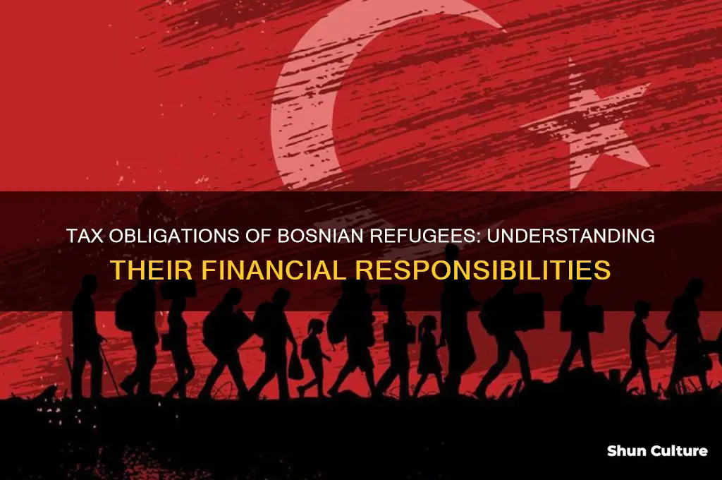 do bosnian refugees pay taxes