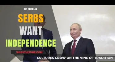 Bosnian Serbs' Independence Aspirations: A Complex Quest for Sovereignty