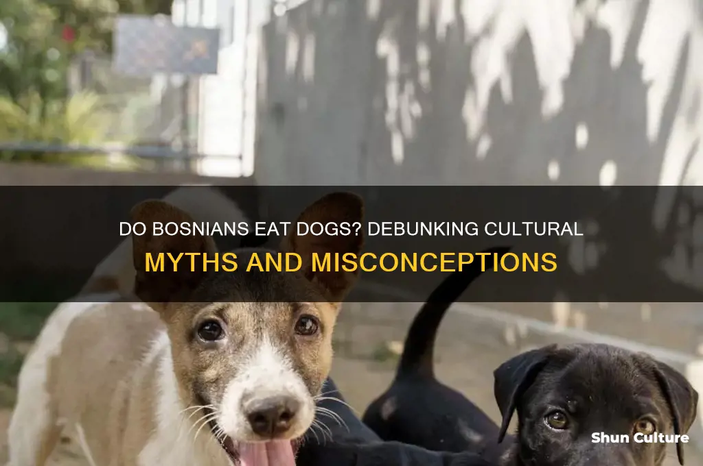 do bosnian