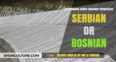 Bosnian Serbs' Identity: Serbian, Bosnian, or Both?