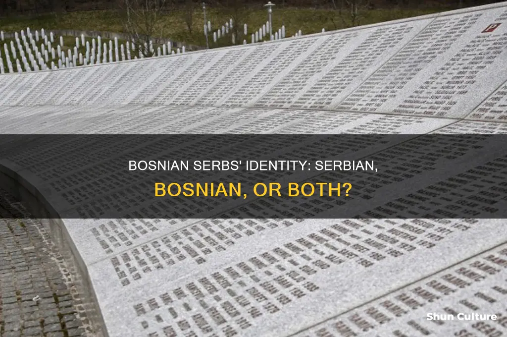 do bosnians serbs consider themselves serbian or bosnian