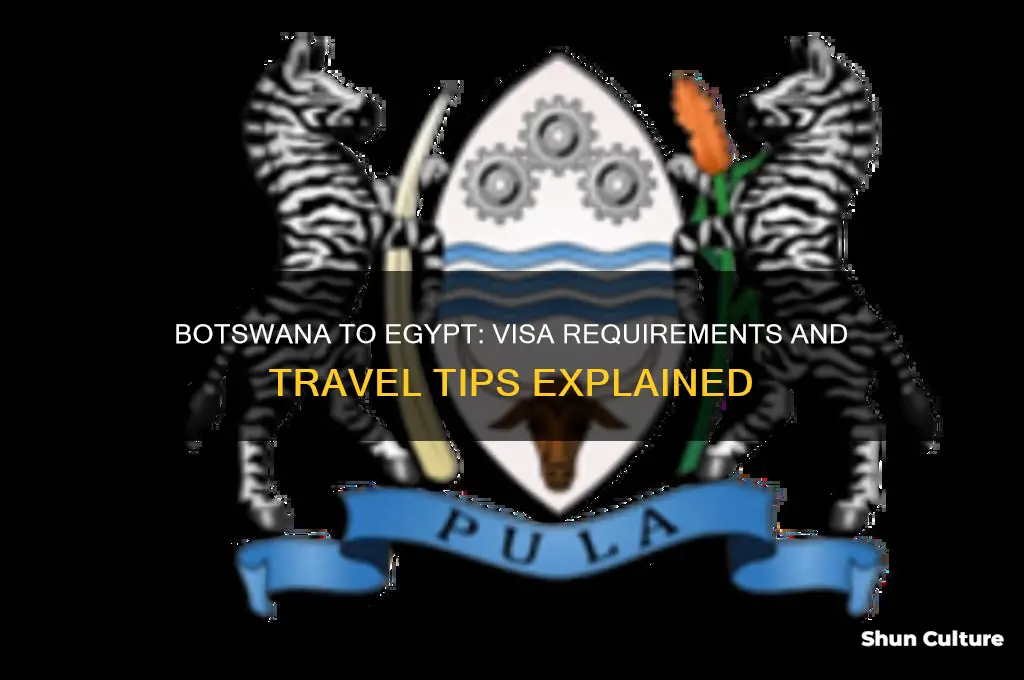 do botswana need visa to egypt