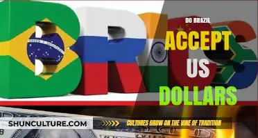 Can You Use US Dollars in Brazil? Currency Tips for Travelers