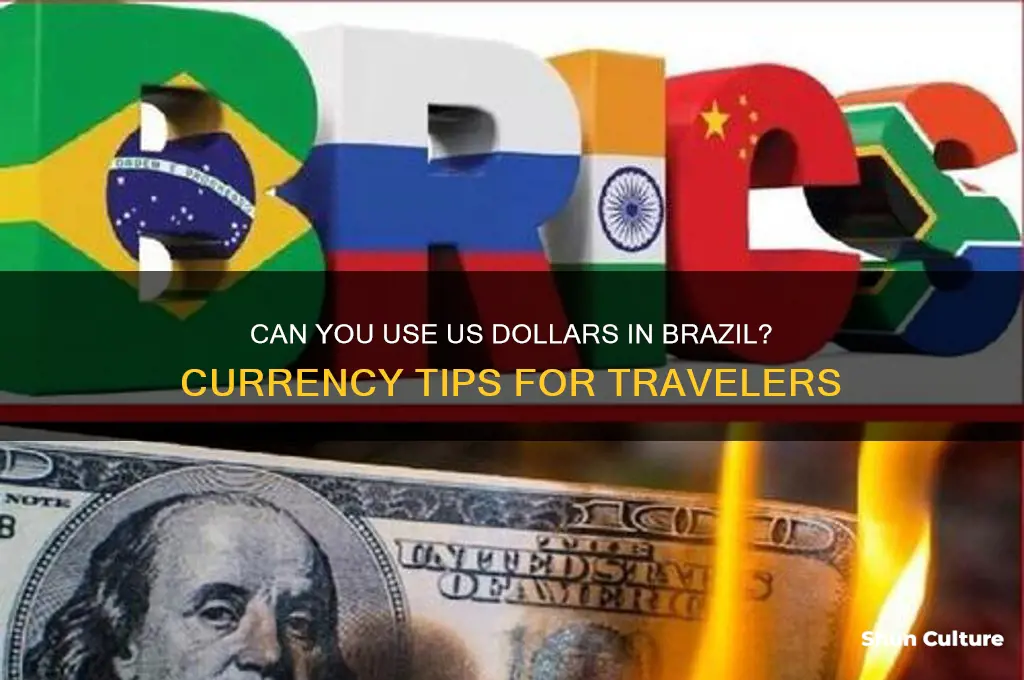do brazil accept us dollars