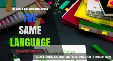 Do Brazil and Argentina Share a Common Language? Exploring Portuguese vs. Spanish