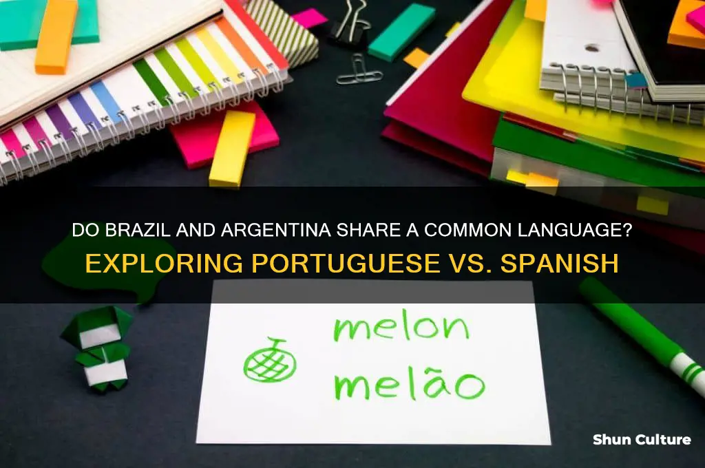do brazil and argentina speak the same language