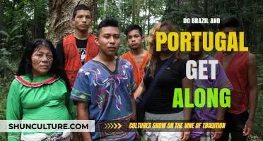Brazil and Portugal: A Historical Bond or Modern Rivalry?