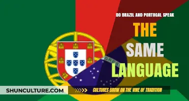 Do Brazil and Portugal Speak the Same Language? Exploring Portuguese Differences