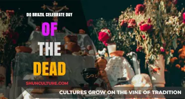 Brazil's Unique Traditions: Day of the Dead Celebrations Explained