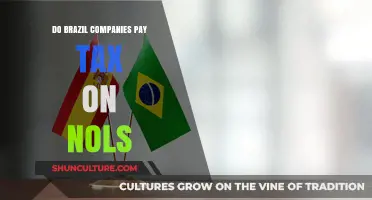Do Brazilian Companies Pay Taxes on Net Operating Losses?