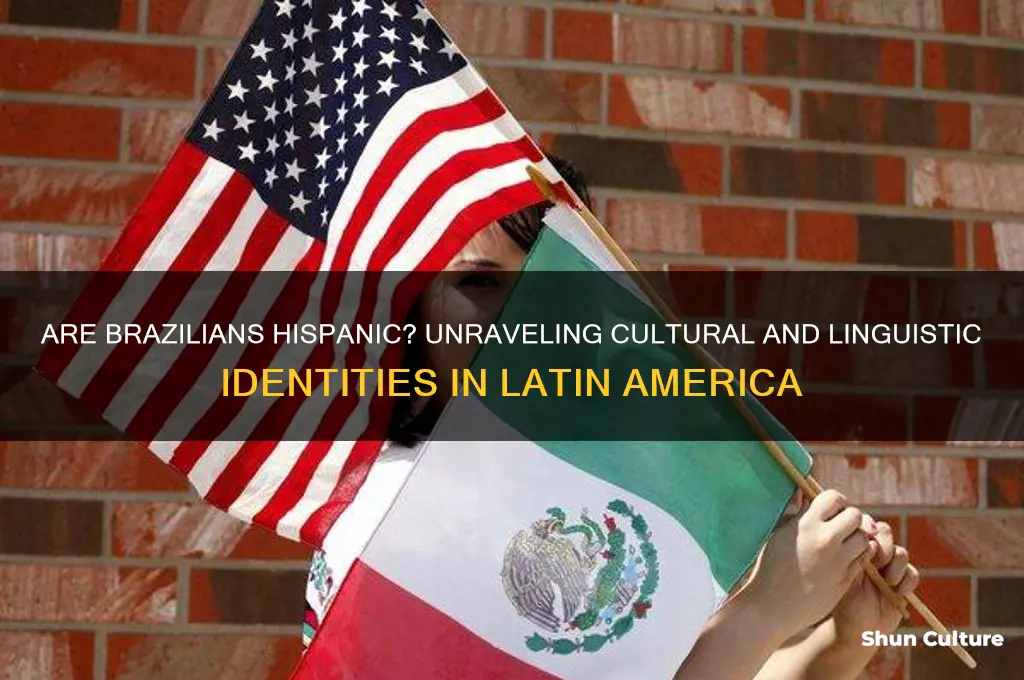 do brazil count as hispanic