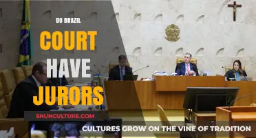 Do Brazilian Courts Use Jurors? Understanding Brazil's Jury System
