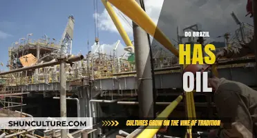 Does Brazil Have Oil? Exploring the Country's Energy Resources