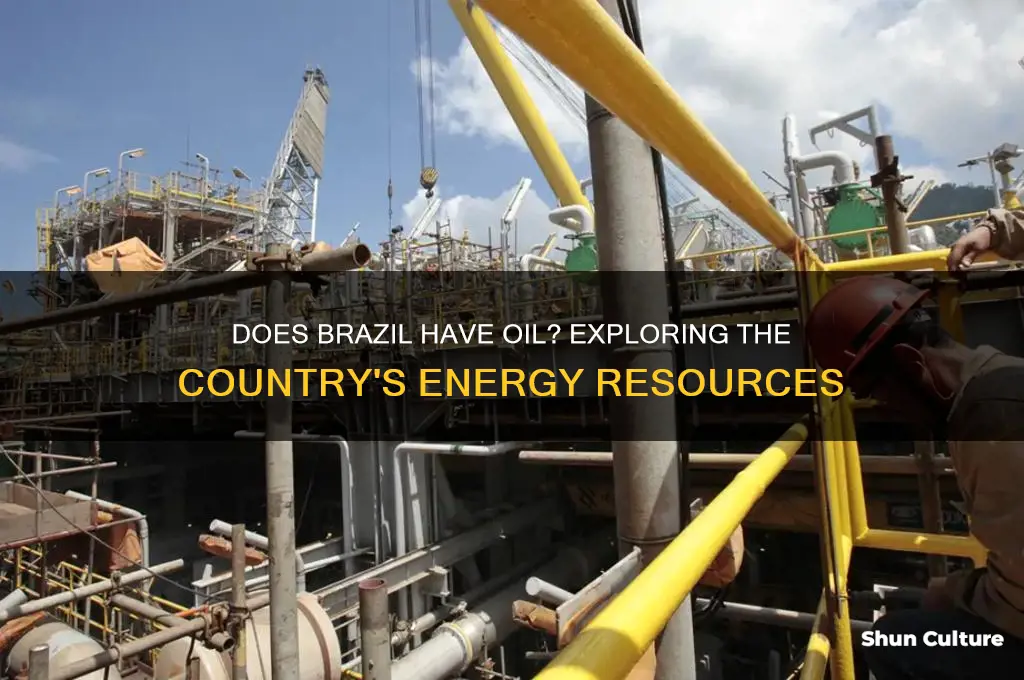 do brazil has oil