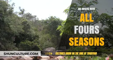 Does Brazil Experience All Four Seasons? Climate Explained