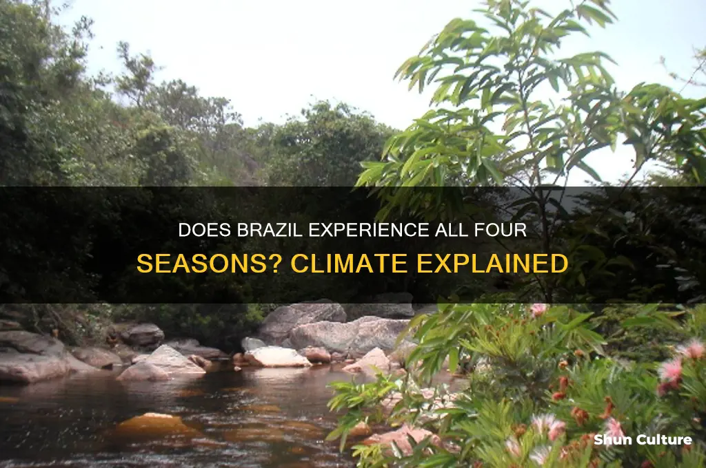 do brazil have all fours seasons