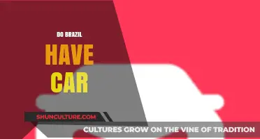 Exploring Brazil's Automotive Landscape: Do Brazilians Own Cars?
