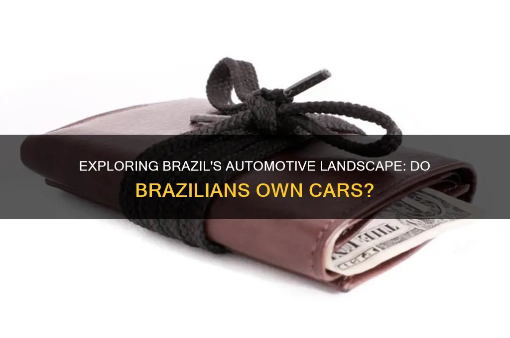 do brazil have car
