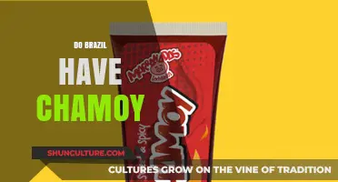 Exploring Brazilian Snacks: Does Brazil Have Chamoy in Their Cuisine?
