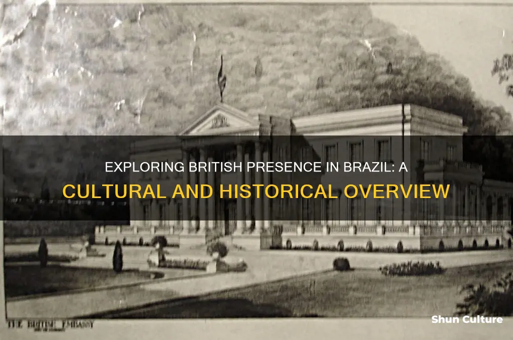 do brazil have some british people