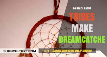 Do Brazil's Native Tribes Craft Dreamcatchers? Cultural Insights Revealed