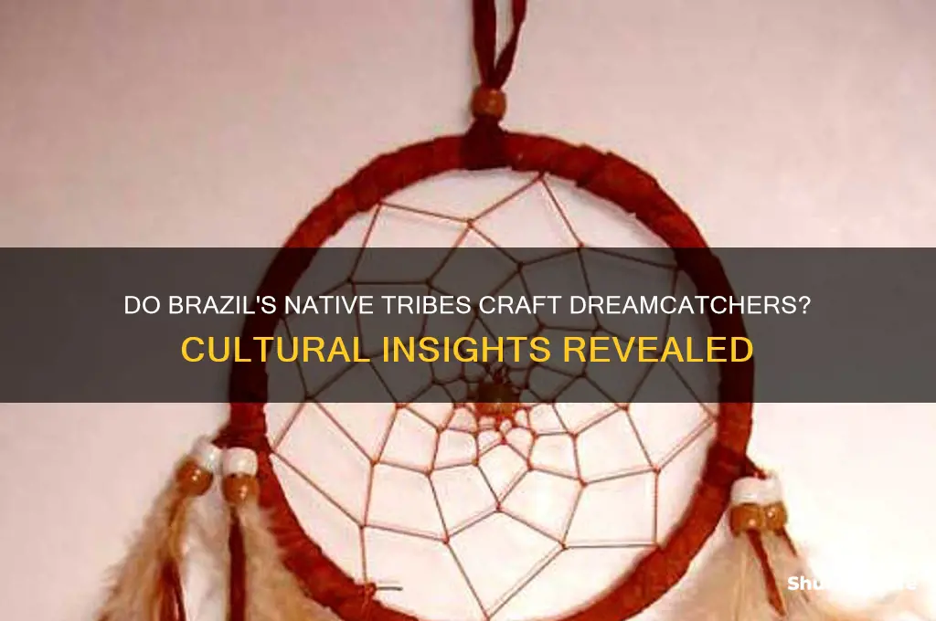 do brazil native tribes make dreamcatchers