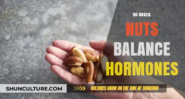 Brazil Nuts and Hormonal Balance: Fact or Fiction?