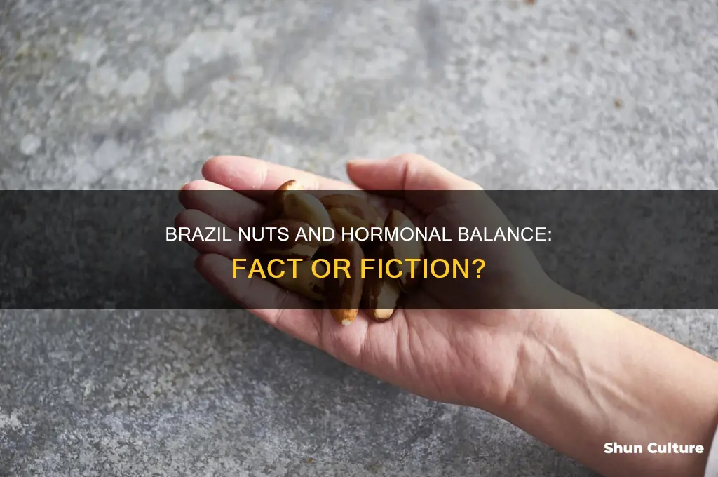 do brazil nuts balance hormones