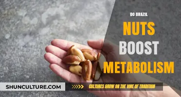 Brazil Nuts and Metabolism: Unlocking the Potential for Weight Loss