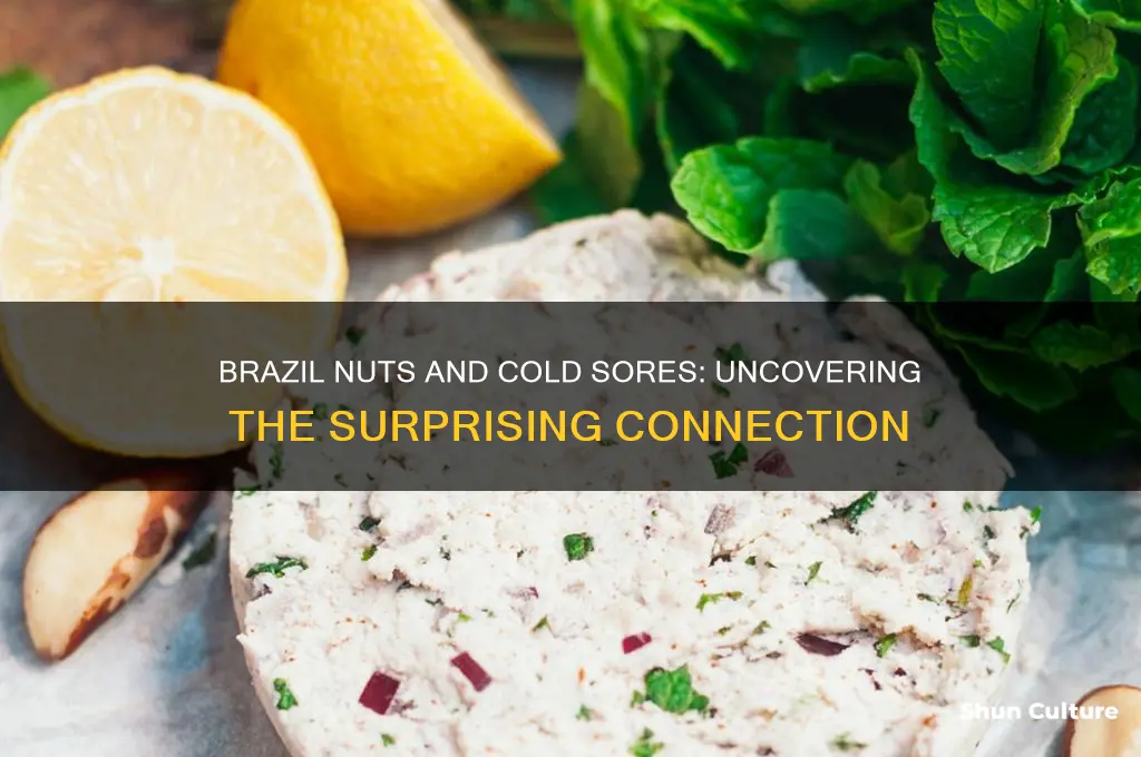 do brazil nuts cause cold sores