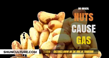 Do Brazil Nuts Cause Gas? Uncovering the Truth Behind Digestive Concerns