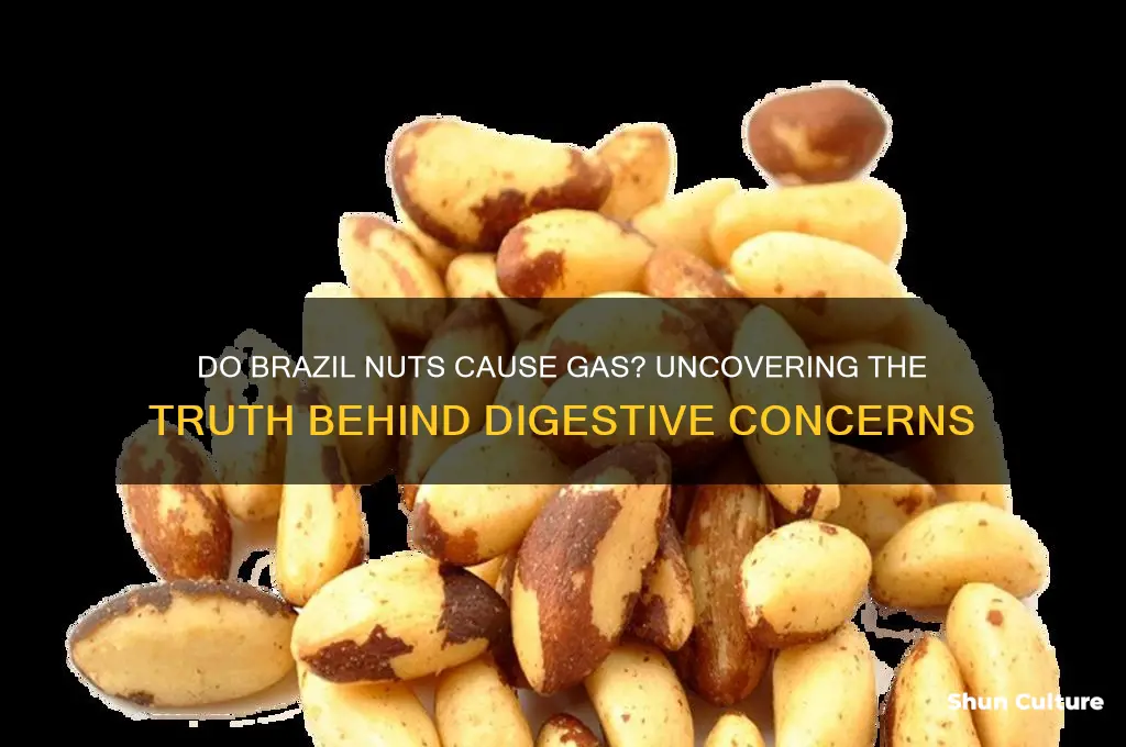 do brazil nuts cause gas