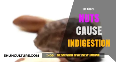 Can Brazil Nuts Cause Indigestion? Uncovering the Digestive Truth