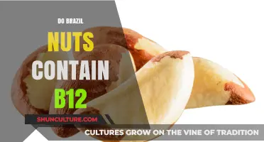 Brazil Nuts and Vitamin B12: Uncovering Nutritional Facts and Myths