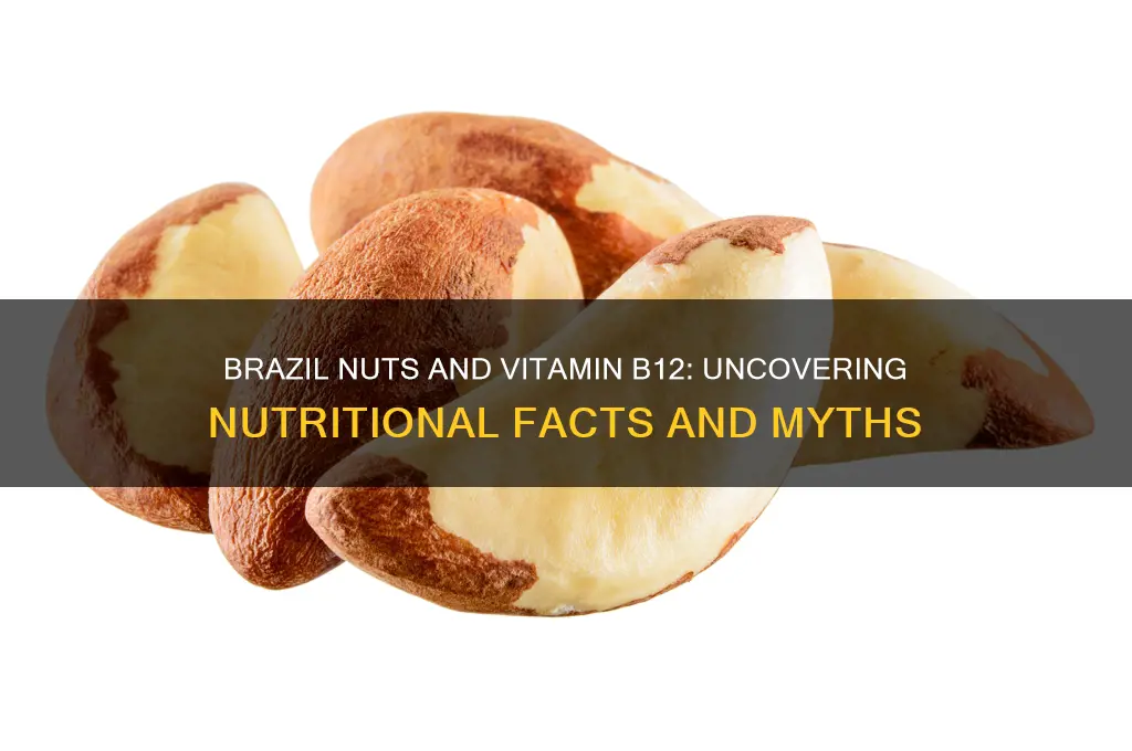 do brazil nuts contain b12