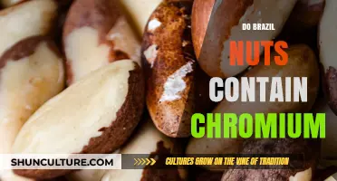 Do Brazil Nuts Contain Chromium? Uncovering Nutritional Facts and Benefits