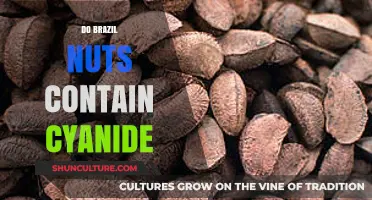 Brazil Nuts and Cyanide: Uncovering the Truth About This Nut's Safety