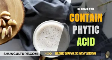 Brazil Nuts and Phytic Acid: Uncovering the Nutritional Truth