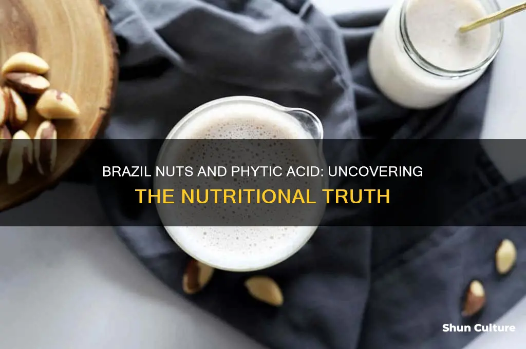 do brazil nuts contain phytic acid