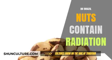 Brazil Nuts and Radiation: Uncovering the Truth About Their Content