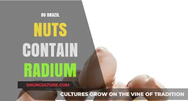 Brazil Nuts and Radium: Uncovering the Truth Behind the Myth