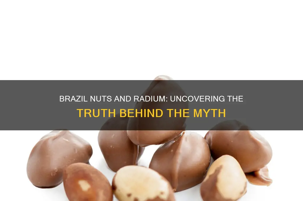 do brazil nuts contain radium