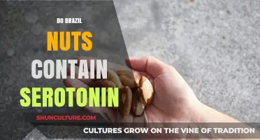 Brazil Nuts and Serotonin: Uncovering the Truth About Mood-Boosting Benefits