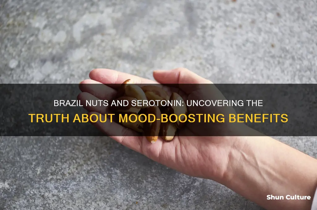 do brazil nuts contain serotonin