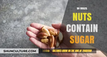 Brazil Nuts and Sugar: Uncovering the Sweet Truth Inside