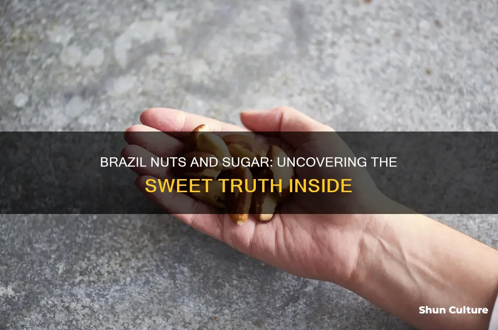 do brazil nuts contain sugar